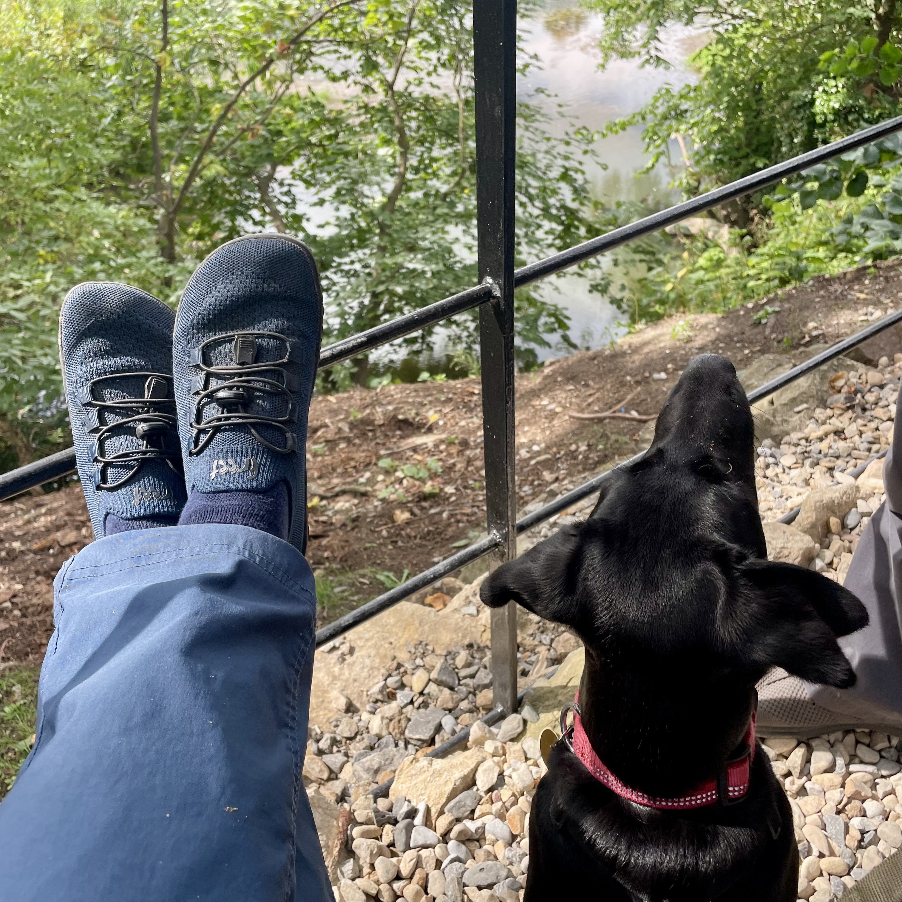 Freet tanga Versatile minimalist everyday and sport shoe